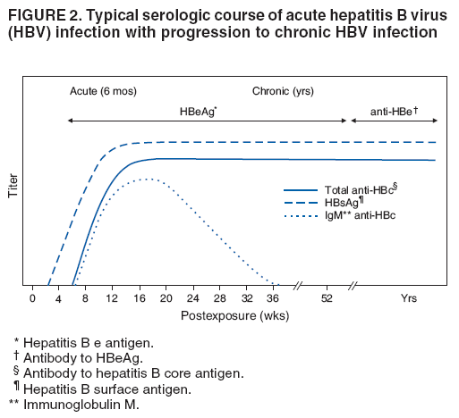 FIGURE 2. Typical serologic course of acute hepatitis B virus
(HBV) infection with progression to chronic HBV infection