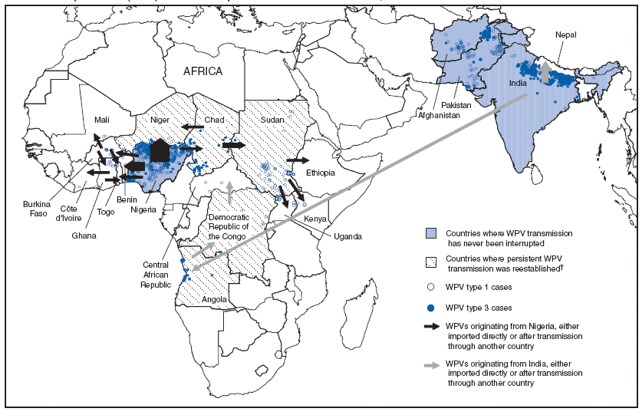 Wild poliovirus (WPV) cases and importation routes* - worldwide, 2008-2009