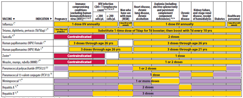 The figure shows recommended vaccinations indicated for adults based on medical and other indications. For Figure 2, the recommendation for Tdap vaccination with each pregnancy is included, with a single dose of Tdap recommended for all other groups. A correction was made to change the color for PPSV23 from yellow to purple for men who have sex with men (MSM). PPSV23 is recommended for MSM who have another risk factor such as age group or medical condition.  A row for PCV13 was added.