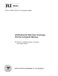Image of publication Underground Gob Gas Drainage During Longwall Mining