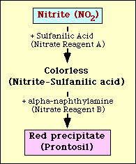Detection of nitrite
