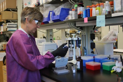 A CDC microbiologist works with one of the tests developed by CDC for the Zika response. In addition to the Trioplex, CDC also developed the Zika MAC-ELISA test, which detects antibodies that the body makes to fight a Zika virus infection. 