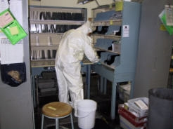 	Worker in a hazmat suit checks for anthrax