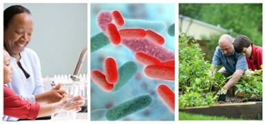 Three images: Woman and boy washing hands, microscopic image of bacteria, man and child tending garden