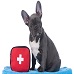 Puppy with emergency kit
