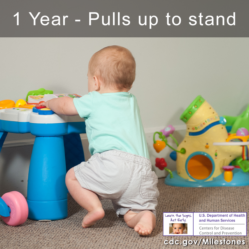 Pulls up to stand image 1