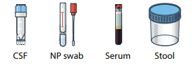 illustrations of containers for collecting different specimens for testing