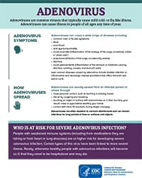 Adenovirus factsheet cover