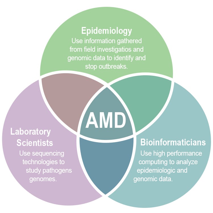 Venn diagram with AMD in the center surrounded by Epidemiologists, Laboratory scientists, and Bioinformaticians.
