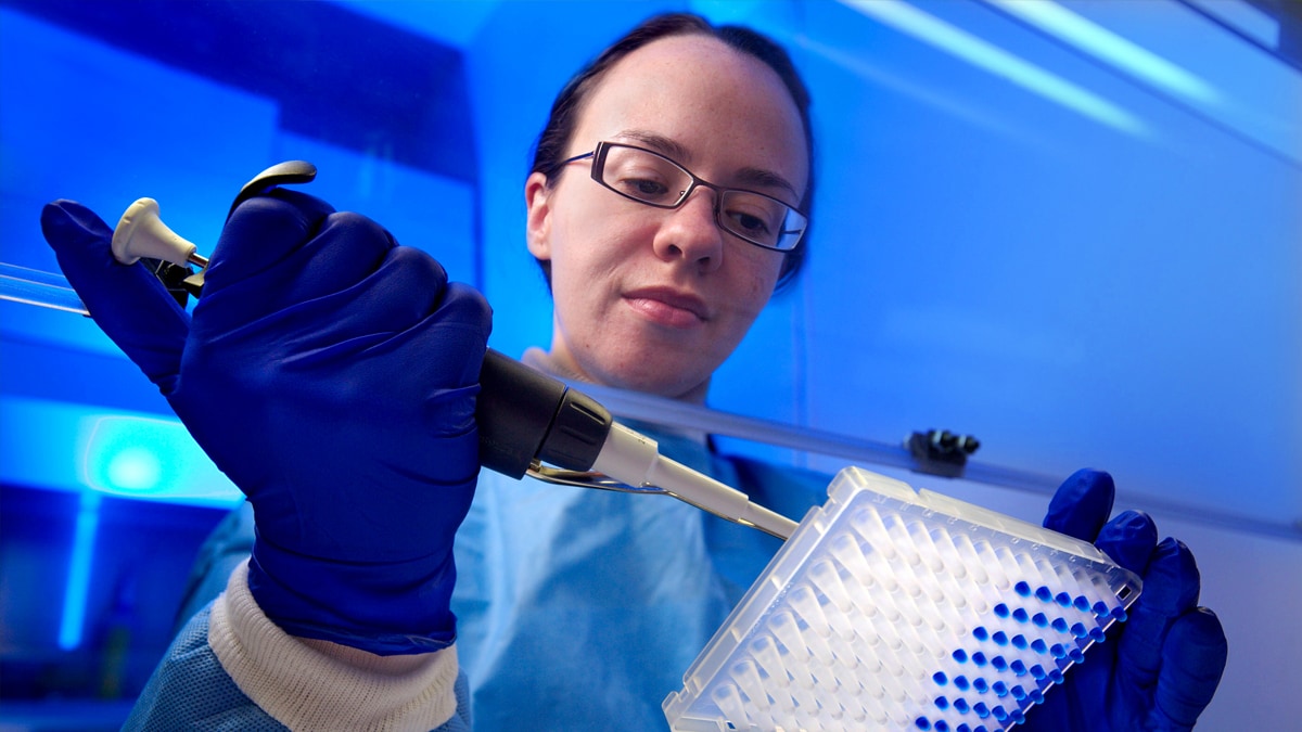 A CDC microbiologist, wearing a protective bio-hazard suit, works inside a ventilated hood. She uses a mechanical pipette to insert samples into 96-well plate for sequencing.