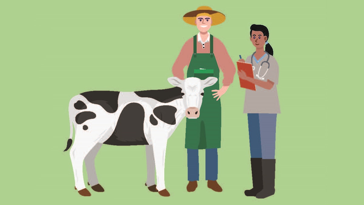 A farmer and vet with a cow