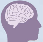 Clip art of human brain