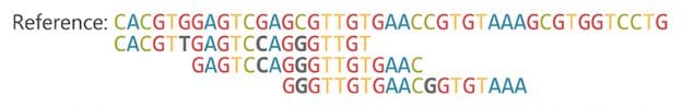 A series of letters representing a reference genome is compared to three slightly different lines of DNA data