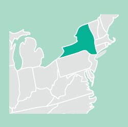 Illustrated image of map cropped to the SE region with New York highlighted