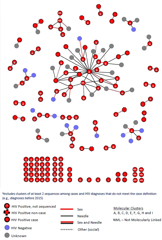 clusters of hiv cases represented by red, blue and gray dots that show the links between cases based on molecular sequencing and named sexual partners