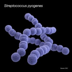 computer-generated image of a group of Gram-positive, Streptococcus pyogenes