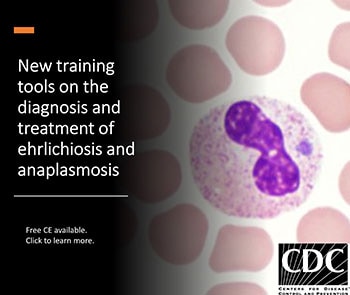 New training tools on the diagnosis and treatment of ehrlichiosis and anaplasmosis continuing education button.