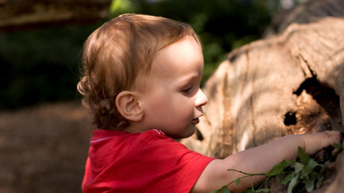 A small child investigates a log laying on the forest floor.