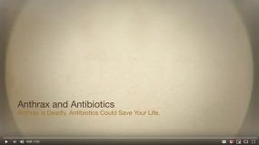 A video about anthrax and antibiotics.