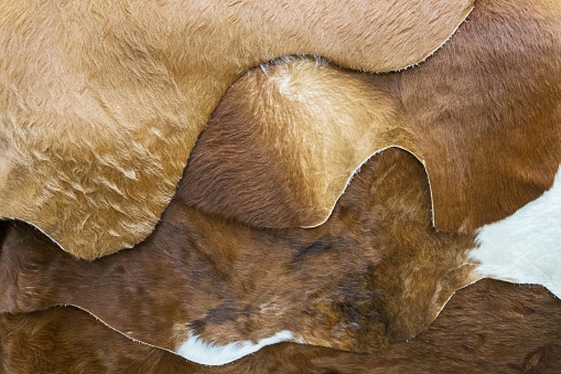 Pile of different brown cow hides.
