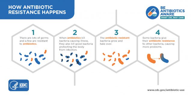 Image described fully in text file. Infographic: How Antibiotic Resistance Happens