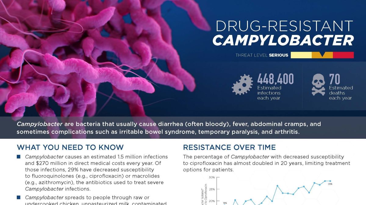 Campylobacter thumbnail