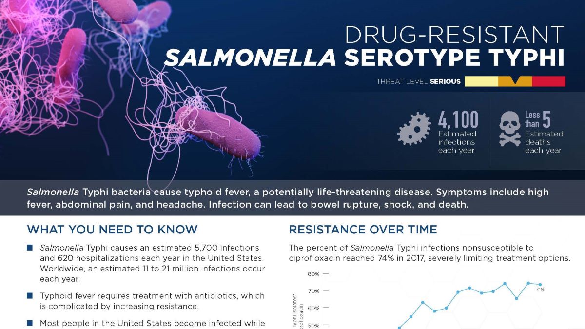 Salmonella typhi pathogen page thumbnail