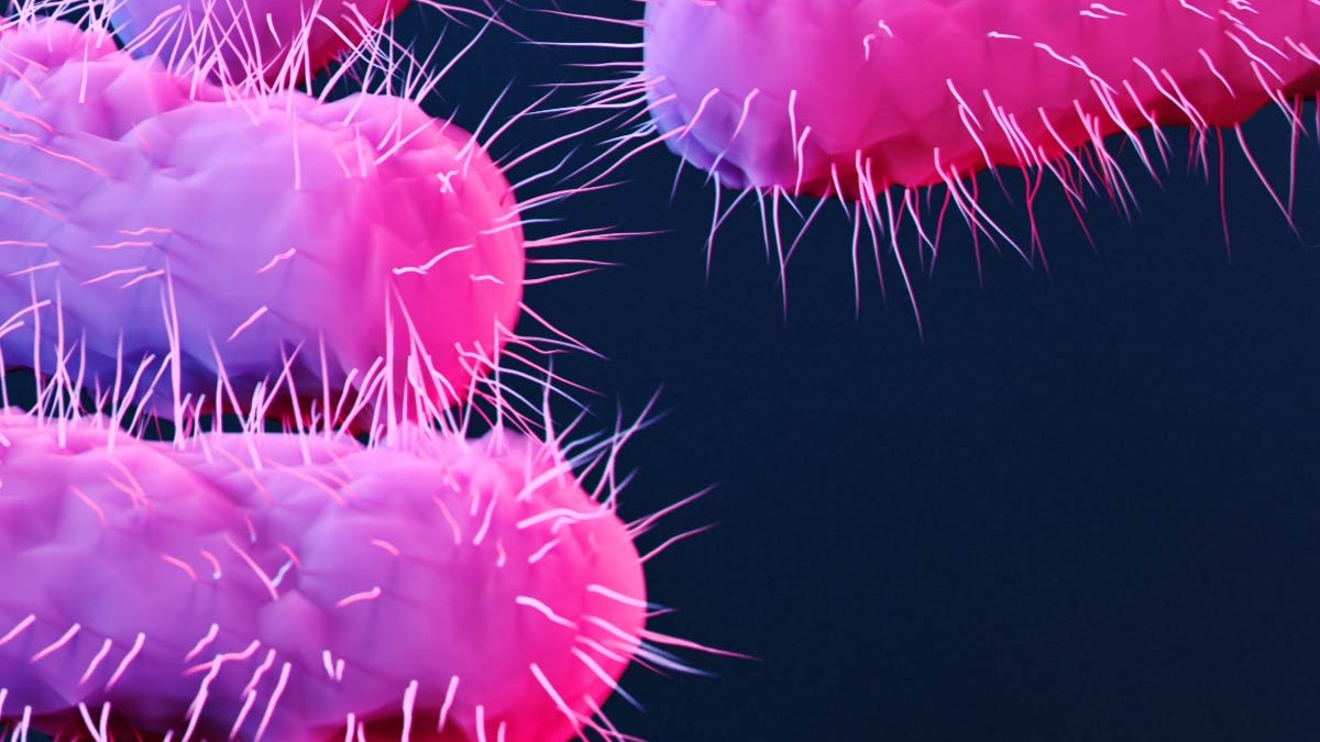 About Antimicrobial Resistance | Antimicrobial Resistance About Antimicrobial Resistance | Antimicrobial Resistance