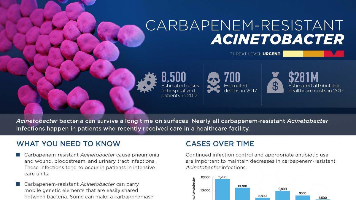 Carbapanem-resistant acinetobacter thumbnail