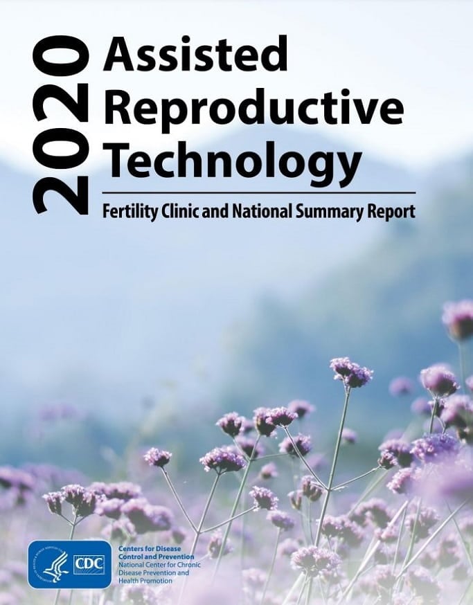 2020 Assisted Reproductive Technology Fertility Clinic and National Summary Report cover