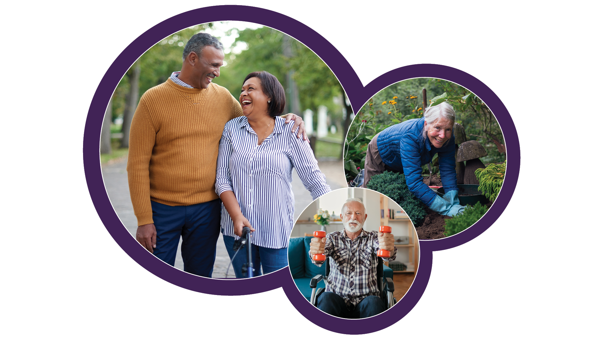 Physical Activity and Self-Management Education Programs for Arthritis ...