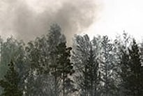 El humo producido por un incendio forestal.