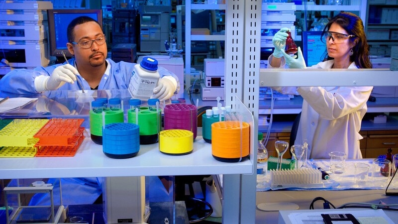 Scientists at work in lab