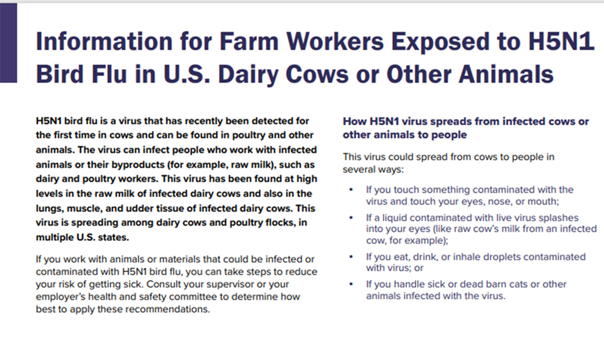 Information for farm workers exposed to H5N1 bird flu in U.S. | Bird ...
