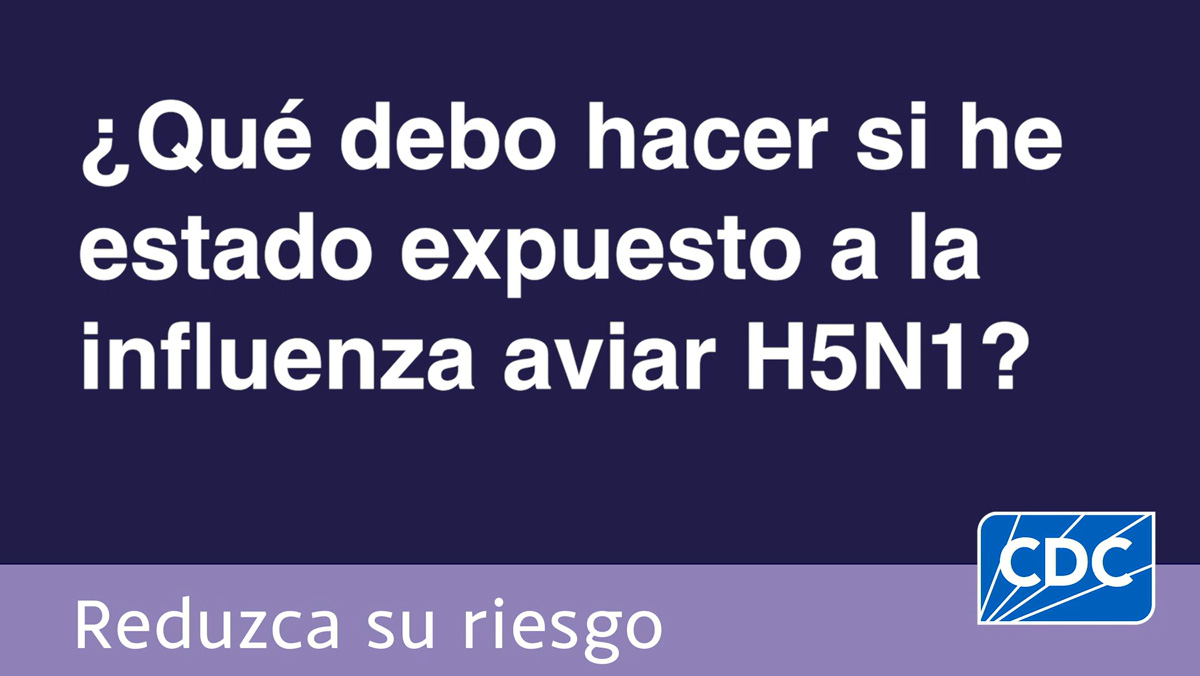 &iquest;Qu&eacute; debo hacer si he estado expuesto a la influenza aviar H5N1? 