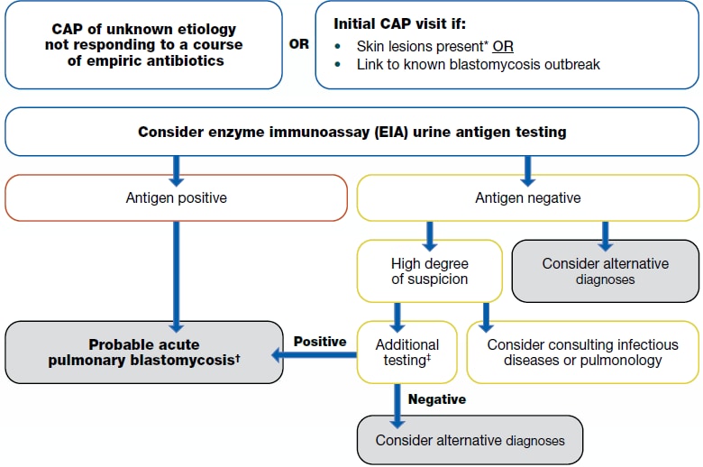 Flowchart for determining when to test for blastomycosis