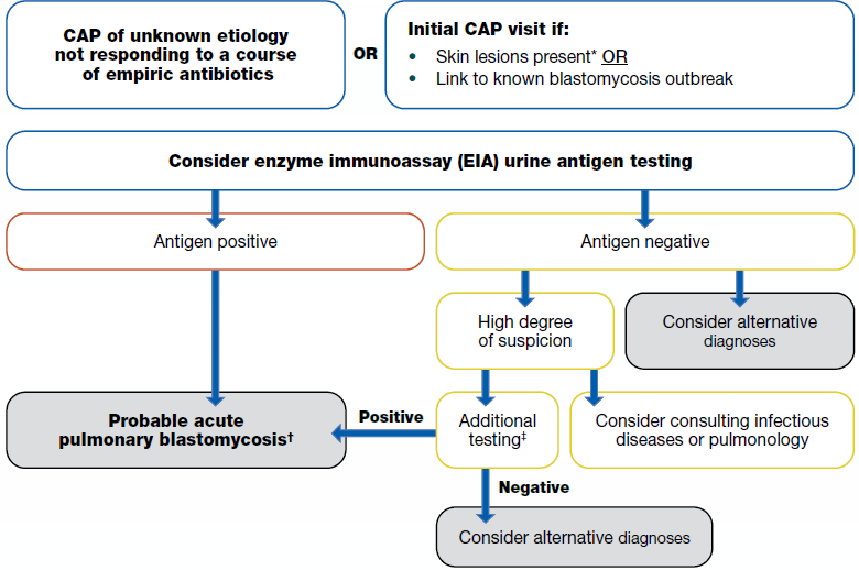 Flowchart for determining when to test for blastomycosis