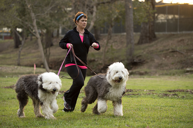 marywalkingherdogs.jpg Mary Campise walking her dogs.