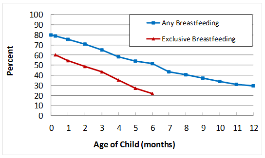 Rates of Any and Exclusive Breastfeeding by Age Among Children Born in 2012, National Immunization Surveys, United States. See table below.