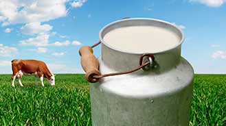image of a cow and raw milk