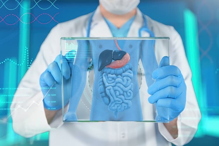 Foto de un médico con una ilustración médica del colon y el recto