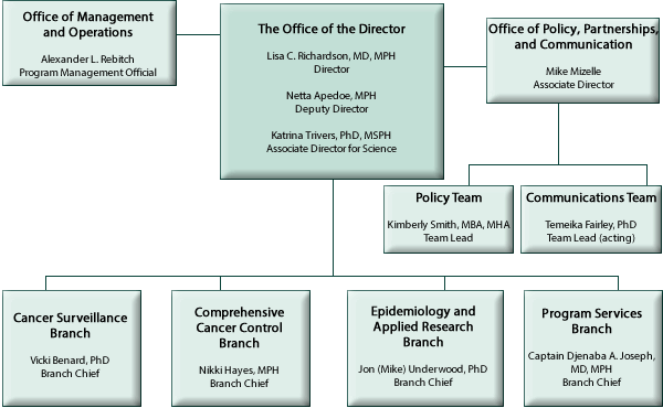 Cancer Center Organizational Chart