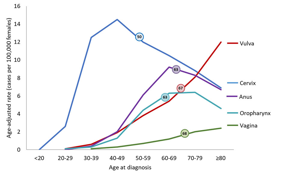 Cancer Risk By Age Chart