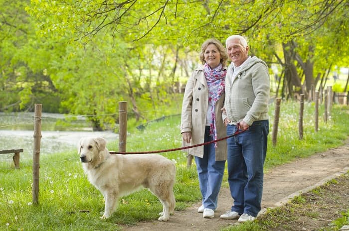 Photo of a couple walking their dog