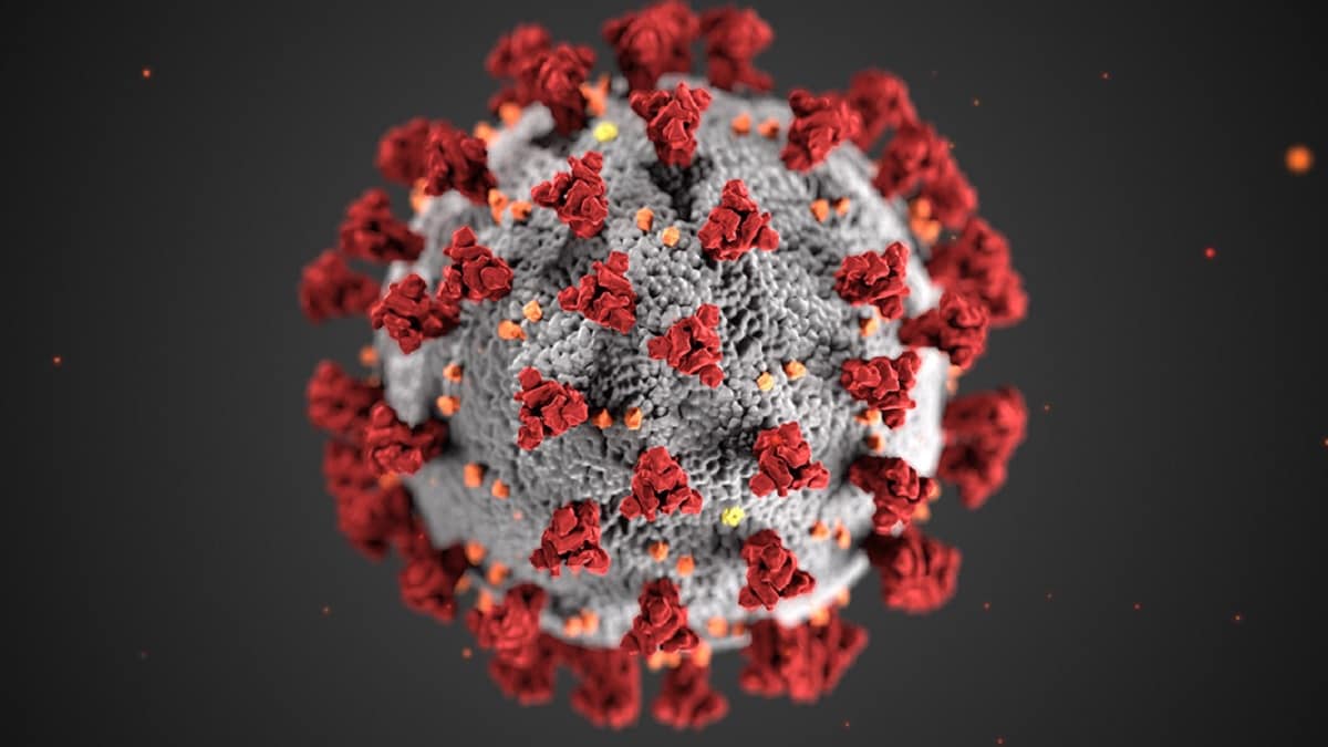 Enlarged microscopic coronavirus.
