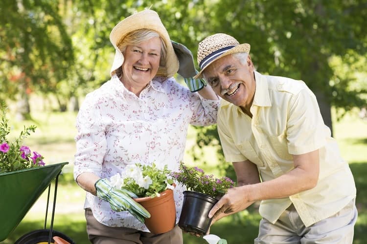 Photo of a man and a woman planting flowers in their garden
