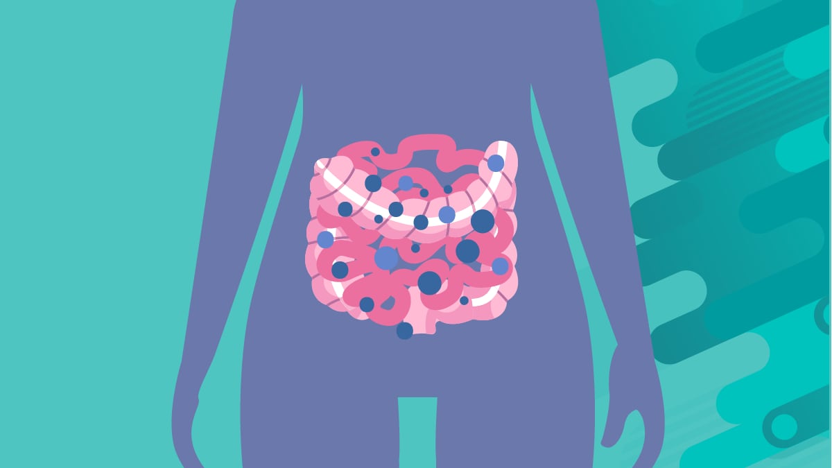 illustration of intestines with candida inside