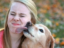 image of a dog licking a young woman's face