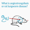 Rat lungworm diseases
