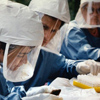 scientists in protective gear, analyzing samples
